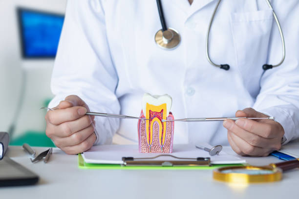 Best Urgent Tooth Repair  in Hector, MN